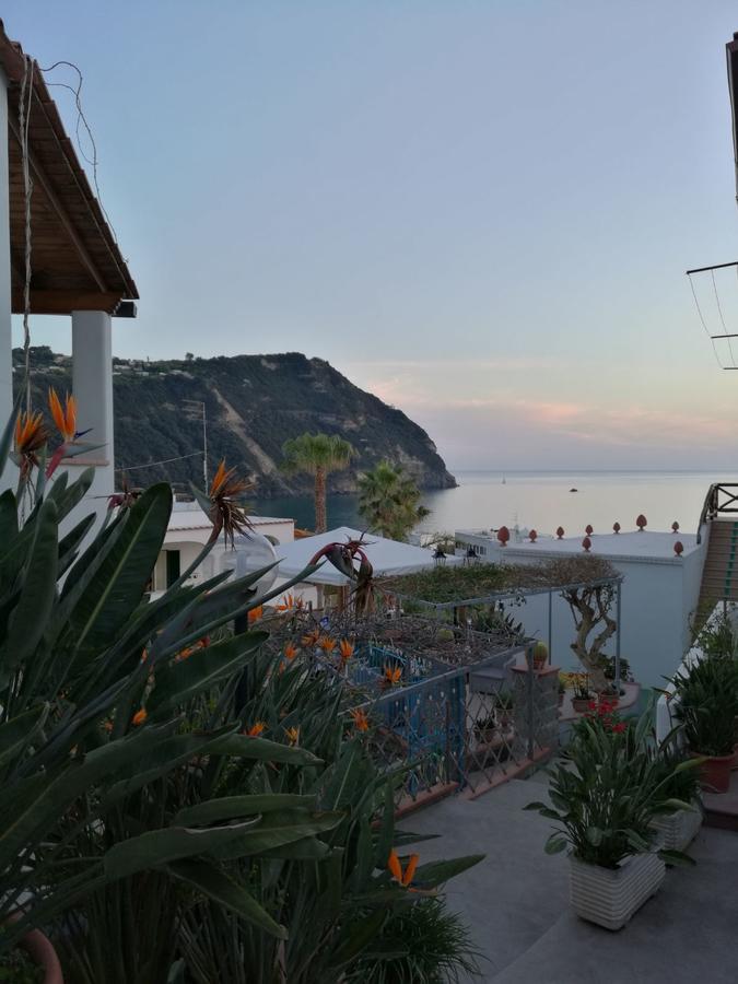Loreta 2* Forio di Ischia