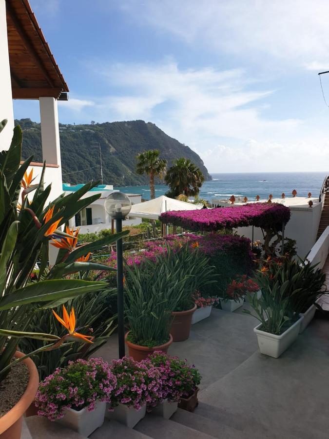 Loreta Forio di Ischia